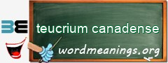 WordMeaning blackboard for teucrium canadense